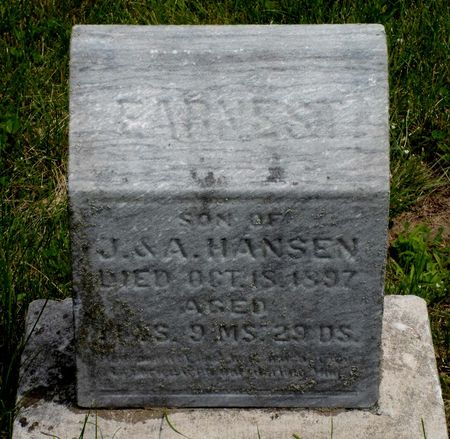 HANSEN, EARNEST - Warren County, Iowa | EARNEST HANSEN 