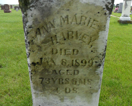 HARVEY, ANN MARIE - Warren County, Iowa | ANN MARIE HARVEY 