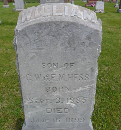 HESS, WILLIAM - Warren County, Iowa | WILLIAM HESS 
