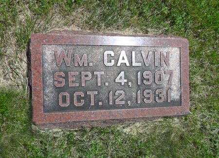 JAMES, WILLIAM CALVIN - Warren County, Iowa | WILLIAM CALVIN JAMES 