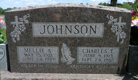 JOHNSON, MELLIE A. - Warren County, Iowa | MELLIE A. JOHNSON 