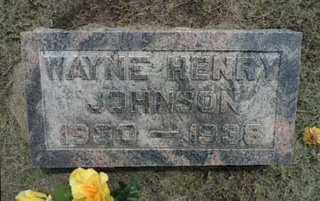 JOHNSON, WAYNE HENRY - Warren County, Iowa | WAYNE HENRY JOHNSON 