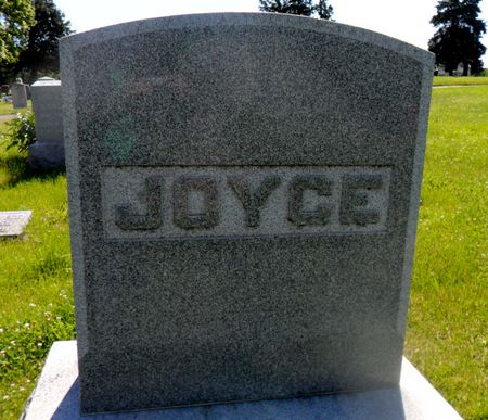 JOYCE, FAMILY STONE - Warren County, Iowa | FAMILY STONE JOYCE 