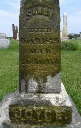 JOYCE, SANDY - Warren County, Iowa | SANDY JOYCE 