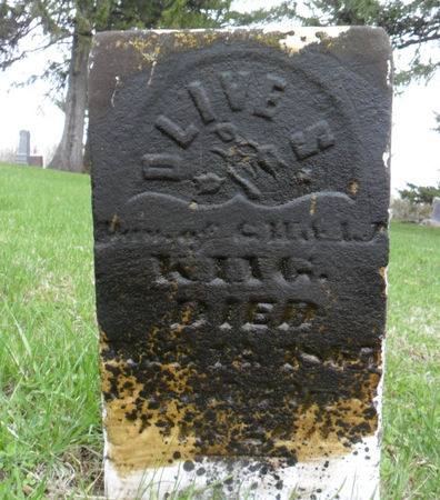 KING, OLIVE S. - Warren County, Iowa | OLIVE S. KING 