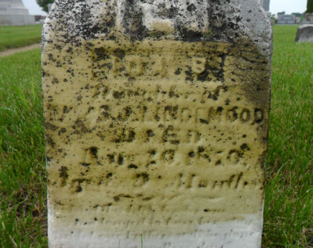 LINDEMOOD, IDA B. - Warren County, Iowa | IDA B. LINDEMOOD 