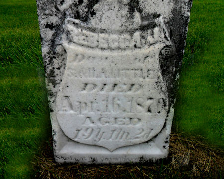 LITTLER, REBECCA J. - Warren County, Iowa | REBECCA J. LITTLER 