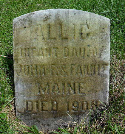 MAINE, ALLIC - Warren County, Iowa | ALLIC MAINE 