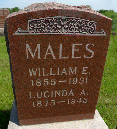 MALES, WILLIAM E. - Warren County, Iowa | WILLIAM E. MALES 