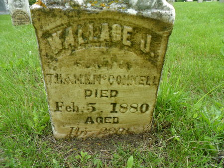 MCCONNELL, WALLACE J. - Warren County, Iowa | WALLACE J. MCCONNELL 