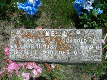 MCNEELEY, GAROLD L. - Warren County, Iowa | GAROLD L. MCNEELEY 