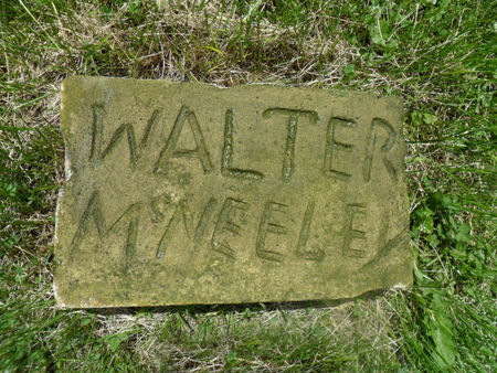 MCNEELEY, WALTER - Warren County, Iowa | WALTER MCNEELEY 