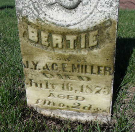MILLER, BERTIE - Warren County, Iowa | BERTIE MILLER 