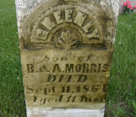 MORRIS, GREENLY - Warren County, Iowa | GREENLY MORRIS 