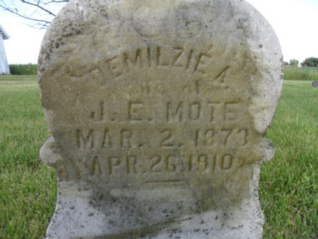 MOTE, DEMILZIE A. - Warren County, Iowa | DEMILZIE A. MOTE 