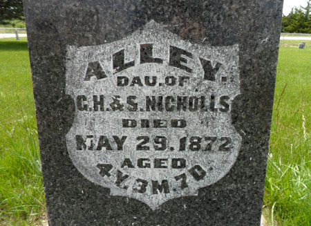 NICHOLLS, ALLEY - Warren County, Iowa | ALLEY NICHOLLS 
