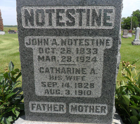 NOTESTINE, JOHN A. - Warren County, Iowa | JOHN A. NOTESTINE 