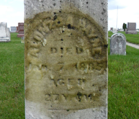 PAYNE, ALONZO A. - Warren County, Iowa | ALONZO A. PAYNE 