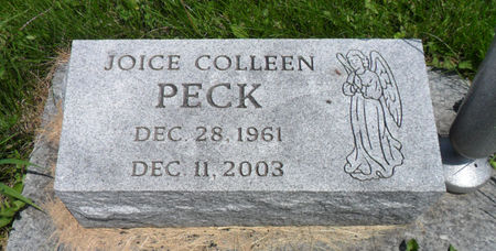 PECK, JOICE COLLEEN - Warren County, Iowa | JOICE COLLEEN PECK 