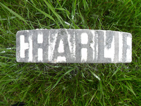 REED, CHARLIE - Warren County, Iowa | CHARLIE REED 