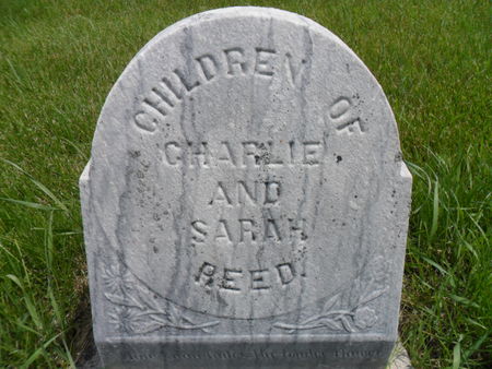 REED, FAMILY STONE - Warren County, Iowa | FAMILY STONE REED 