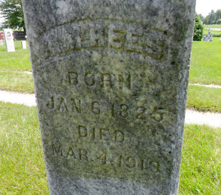 REES, RACHEL M. - Warren County, Iowa | RACHEL M. REES 