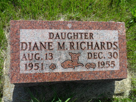 RICHARDS, DIANE M. - Warren County, Iowa | DIANE M. RICHARDS 