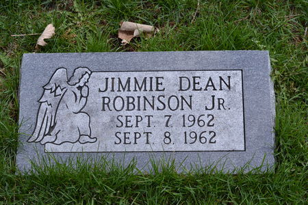 ROBINSON, JR., JIMMIE  DEAN - Warren County, Iowa | JIMMIE  DEAN ROBINSON, JR. 
