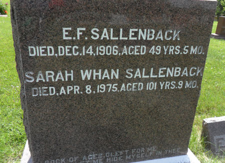 SALLENBACK, SARAH - Warren County, Iowa | SARAH SALLENBACK 