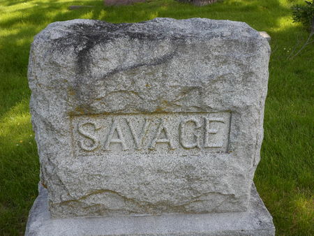SAVAGE, FAMILY STONE - Warren County, Iowa | FAMILY STONE SAVAGE 