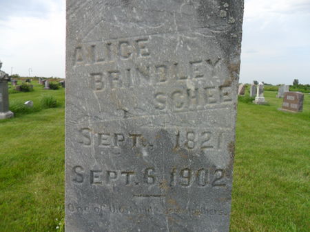 BRINDLEY SCHEE, ALICE - Warren County, Iowa | ALICE BRINDLEY SCHEE 