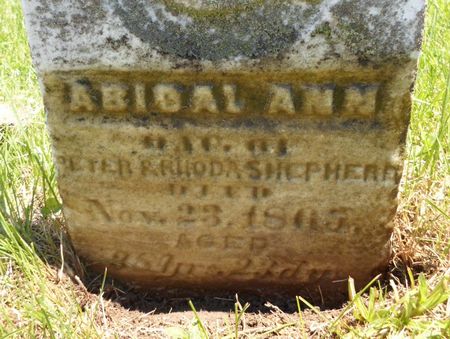 SHEPHERD, ABIGAL ANN - Warren County, Iowa | ABIGAL ANN SHEPHERD 