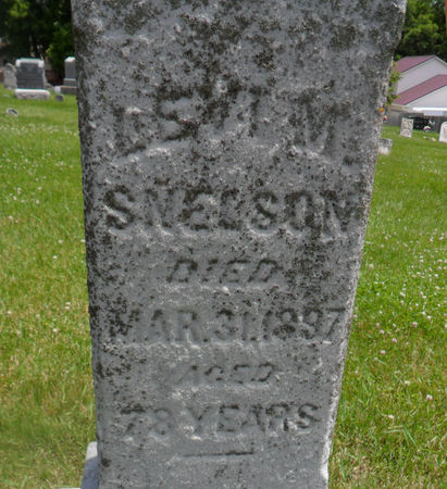 SNELSON, LEVI M. - Warren County, Iowa | LEVI M. SNELSON 