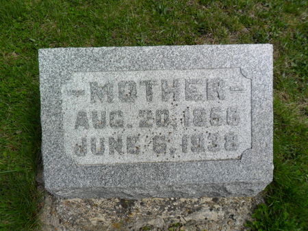 SPRINGER, ANN E. - Warren County, Iowa | ANN E. SPRINGER 