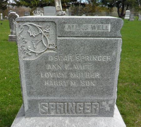 SPRINGER, FAMILY STONE - Warren County, Iowa | FAMILY STONE SPRINGER 