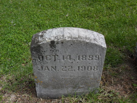 SPRINGER, HARRY M. - Warren County, Iowa | HARRY M. SPRINGER 