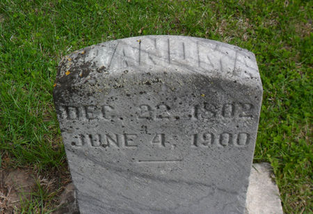 SPRINGER, LOVICY - Warren County, Iowa | LOVICY SPRINGER 