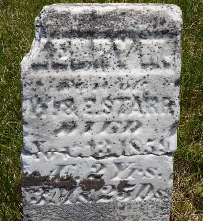 STARR, HENRY W. - Warren County, Iowa | HENRY W. STARR 