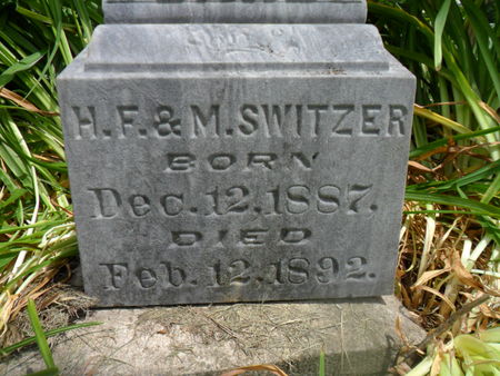 SWITZER, CARL - Warren County, Iowa | CARL SWITZER 