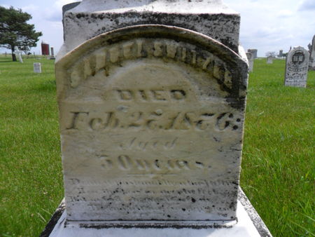 SWITZER, SAMUEL - Warren County, Iowa | SAMUEL SWITZER 