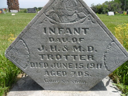 TROTTER, INFANT DAUGHTER - Warren County, Iowa | INFANT DAUGHTER TROTTER 
