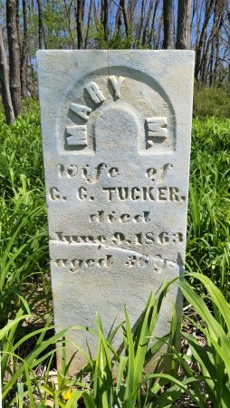 TUCKER, MARY M. - Warren County, Iowa | MARY M. TUCKER 