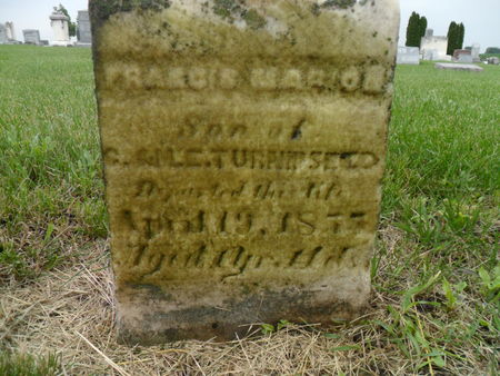 TURNIPSEED, FRANCIS MARION - Warren County, Iowa | FRANCIS MARION TURNIPSEED 