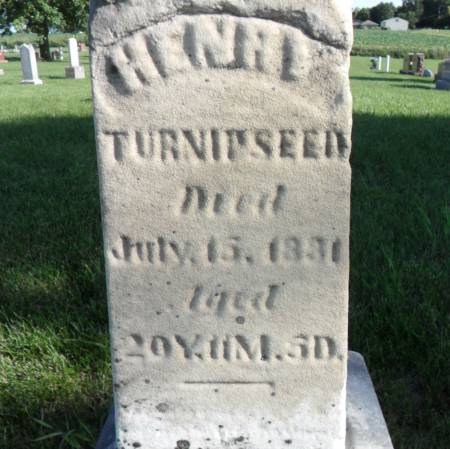 TURNIPSEED, HENRY - Warren County, Iowa | HENRY TURNIPSEED 