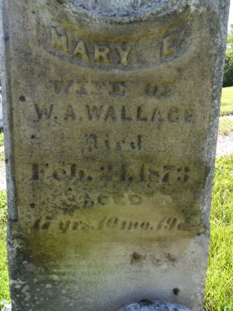 WALLACE, MARY E. - Warren County, Iowa | MARY E. WALLACE 