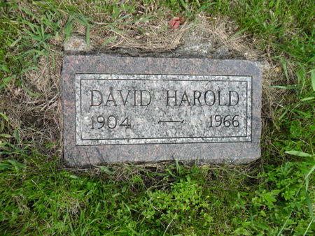 WANDLING, DAVID HAROLD - Warren County, Iowa | DAVID HAROLD WANDLING 