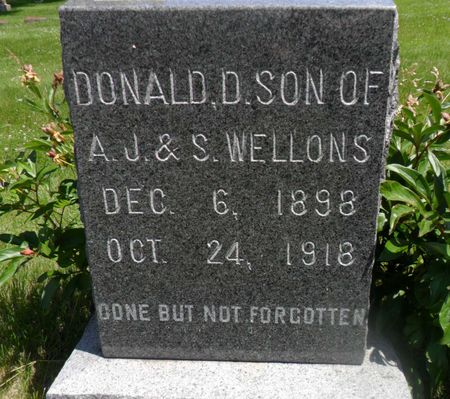 WELLONS, DONALD D. - Warren County, Iowa | DONALD D. WELLONS 