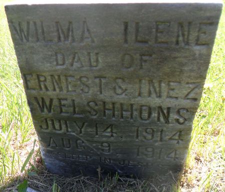 WELSHHONS, WILMA ILENE - Warren County, Iowa | WILMA ILENE WELSHHONS 