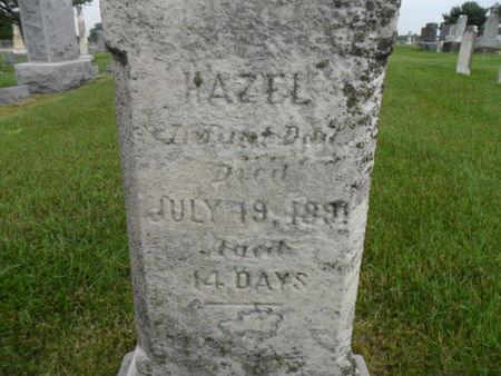 WELSHHONS, HAZEL - Warren County, Iowa | HAZEL WELSHHONS 