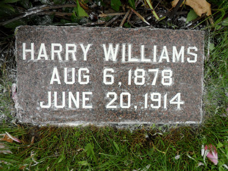 WILLIAMS, HARRY - Warren County, Iowa | HARRY WILLIAMS 
